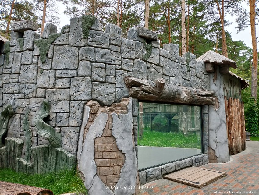 Зоопарк. Новосибирск. Сентябрь 2024 год (2) (фото 3)