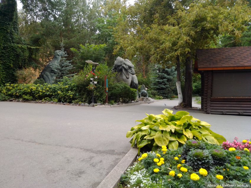 Зоопарк. Новосибирск. Сентябрь 2024 год