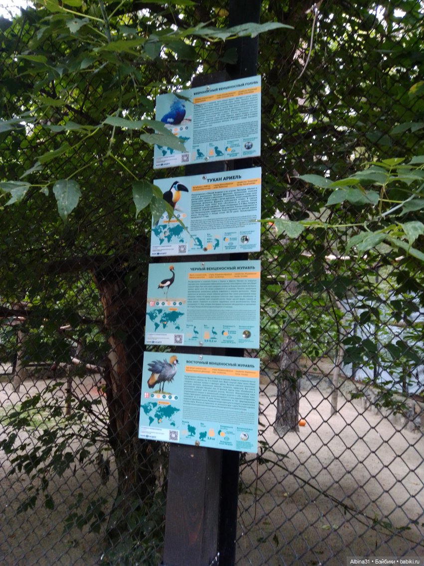 Зоопарк. Новосибирск. Сентябрь 2024 год