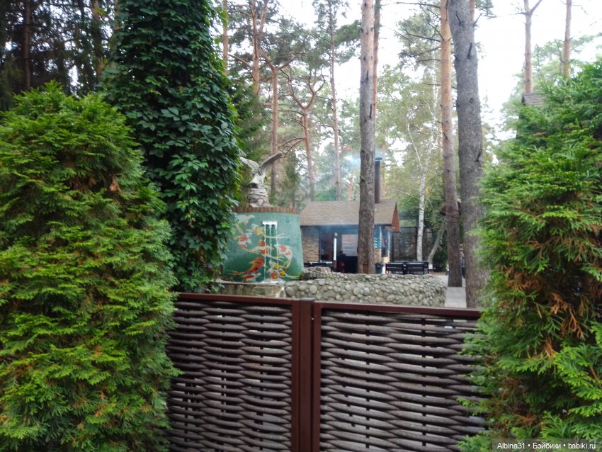 Зоопарк. Новосибирск. Сентябрь 2024 год