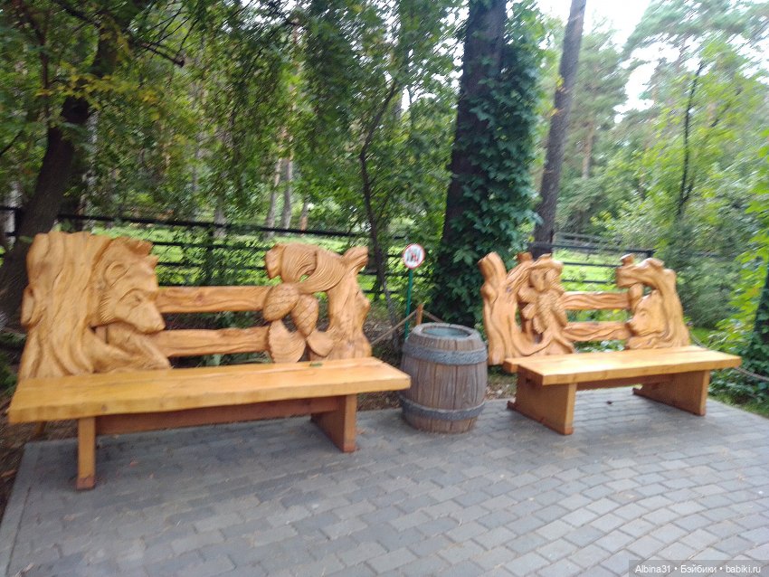 Зоопарк. Новосибирск. Сентябрь 2024 год (2)