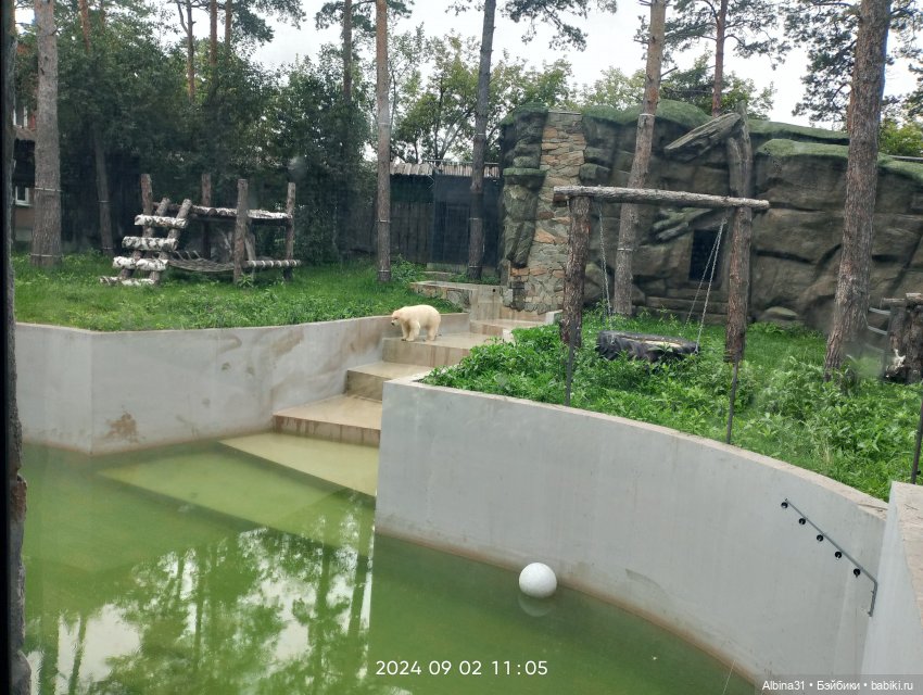 Зоопарк. Новосибирск. Сентябрь 2024 год