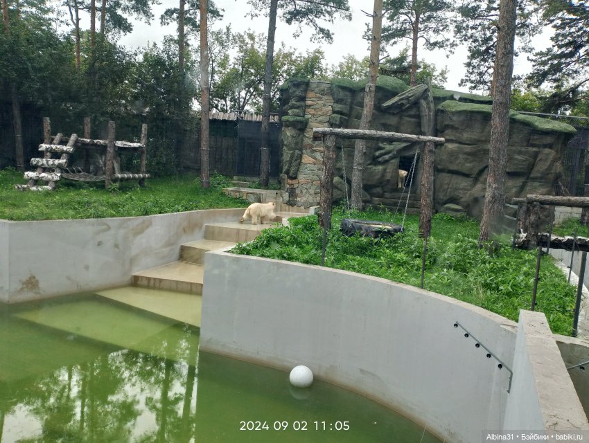 Зоопарк. Новосибирск. Сентябрь 2024 год