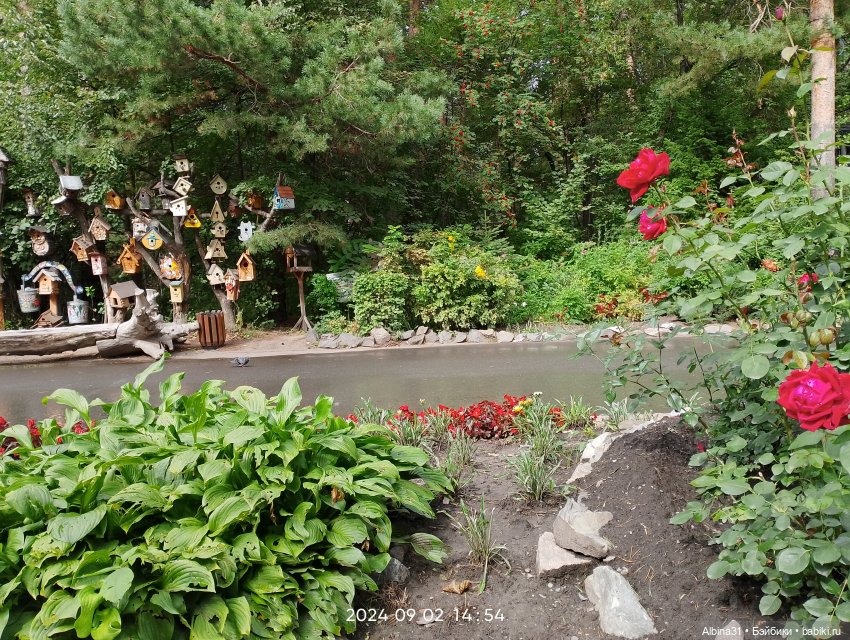 Зоопарк. Новосибирск. Сентябрь 2024 год