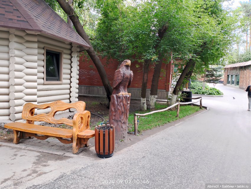 Зоопарк. Новосибирск. Сентябрь 2024 год