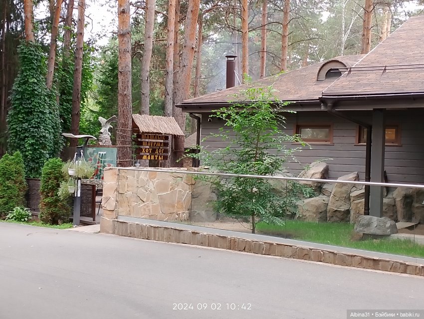 Зоопарк. Новосибирск. Сентябрь 2024 год