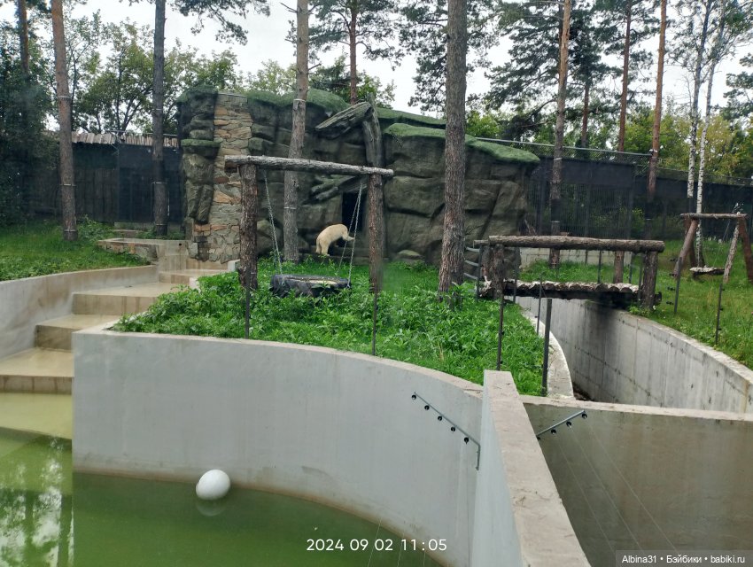 Зоопарк. Новосибирск. Сентябрь 2024 год