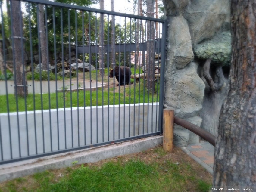 Зоопарк. Новосибирск. Сентябрь 2024 год (2)