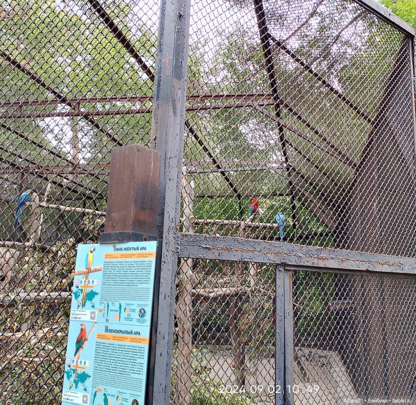 Зоопарк. Новосибирск. Сентябрь 2024 год