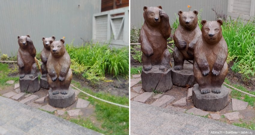 Зоопарк. Новосибирск. Сентябрь 2024 год (2) (фото 6)