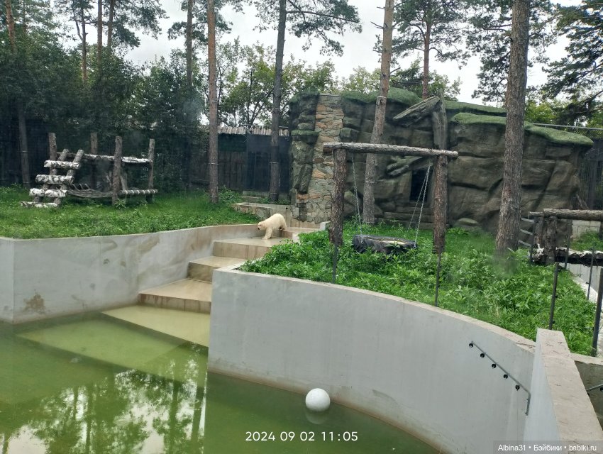 Зоопарк. Новосибирск. Сентябрь 2024 год