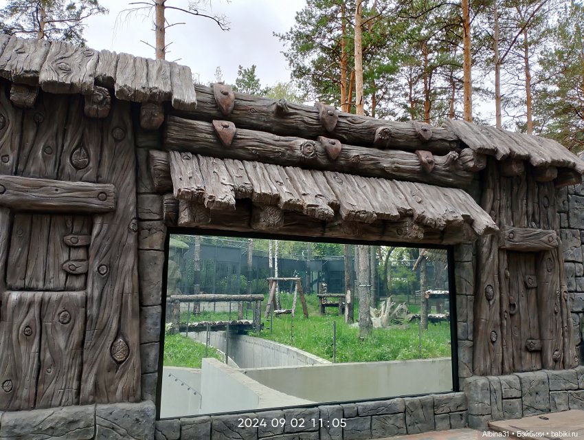 Зоопарк. Новосибирск. Сентябрь 2024 год (2)