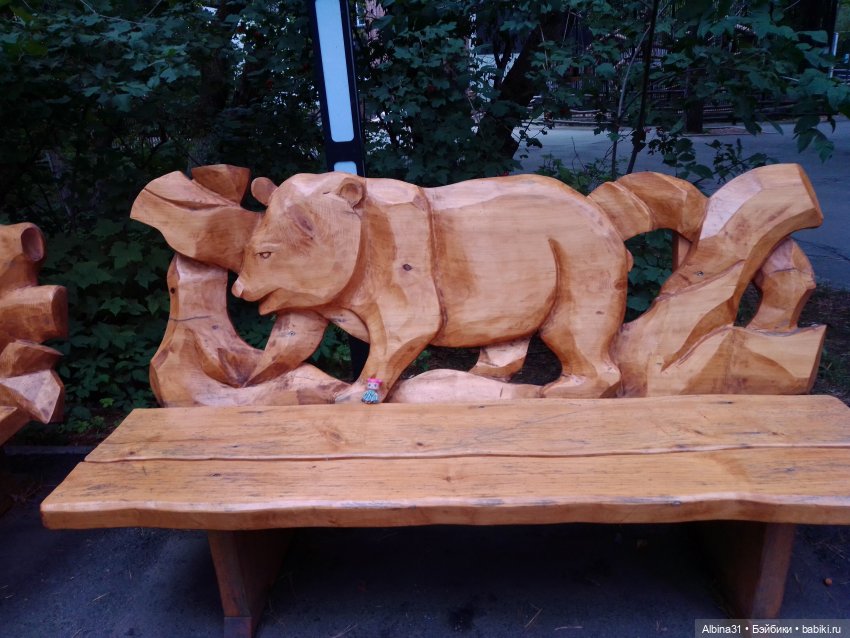 Зоопарк. Новосибирск. Сентябрь 2024 год