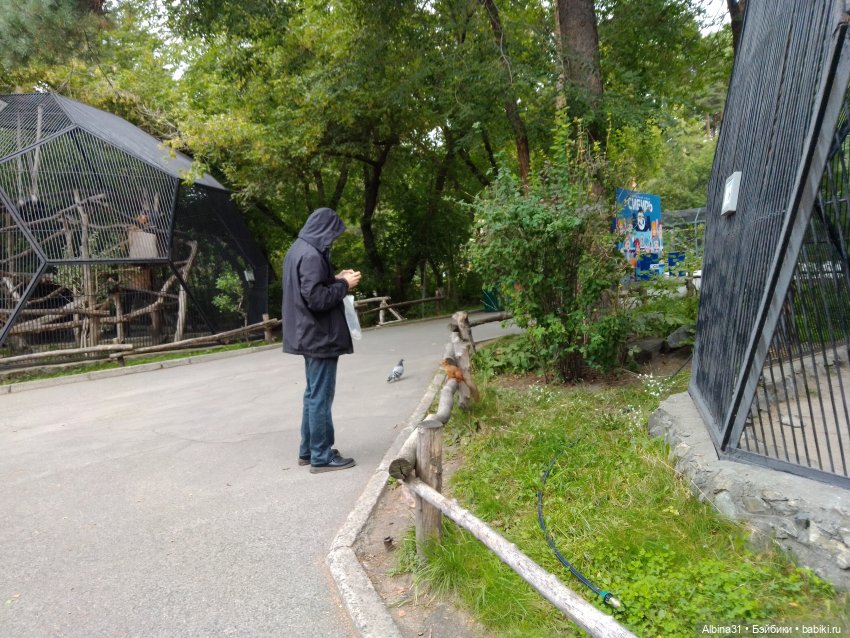 Зоопарк. Новосибирск. Сентябрь 2024 год