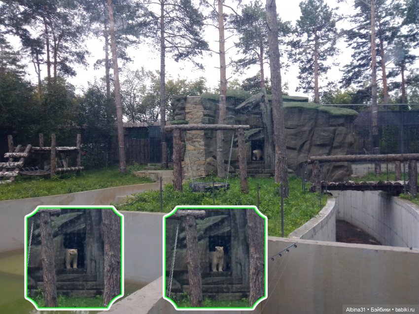 Зоопарк. Новосибирск. Сентябрь 2024 год