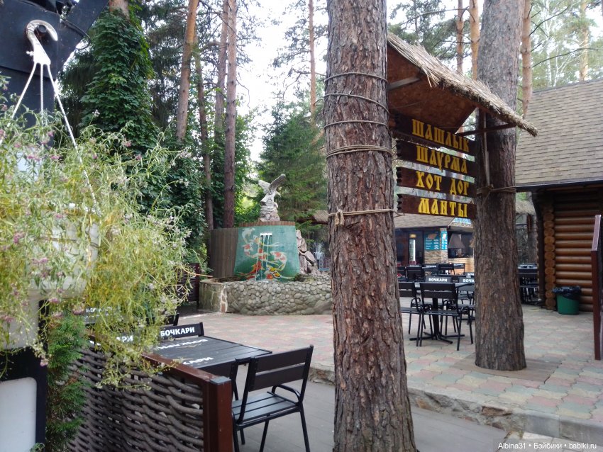 Зоопарк. Новосибирск. Сентябрь 2024 год