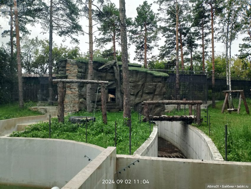 Зоопарк. Новосибирск. Сентябрь 2024 год