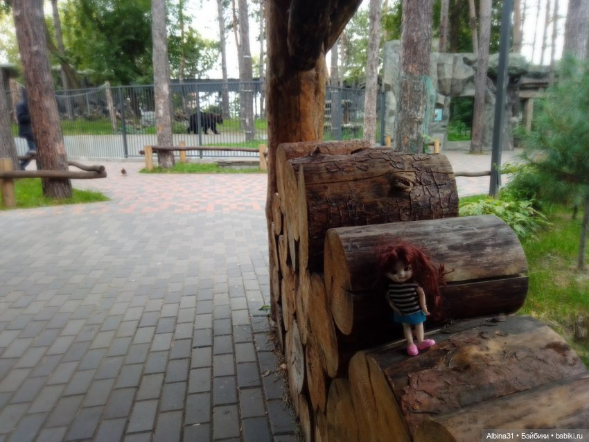 Зоопарк. Новосибирск. Сентябрь 2024 год (2)