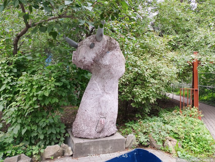 Зоопарк. Новосибирск. Сентябрь 2024 год