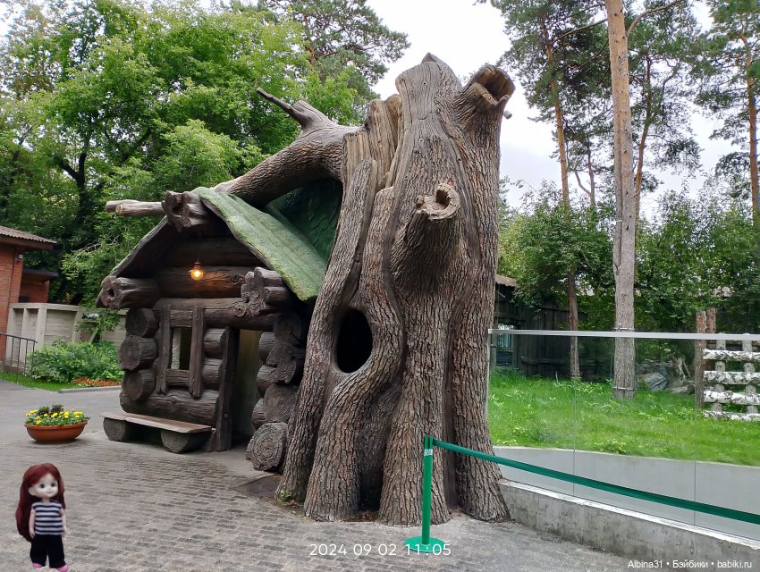 Зоопарк. Новосибирск. Сентябрь 2024 год (2) (фото 2)