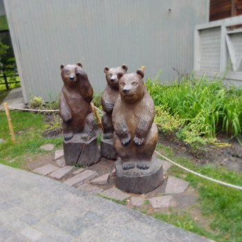 Зоопарк. Новосибирск. Сентябрь 2024 год (2)