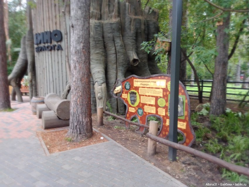 Зоопарк. Новосибирск. Сентябрь 2024 год (2)