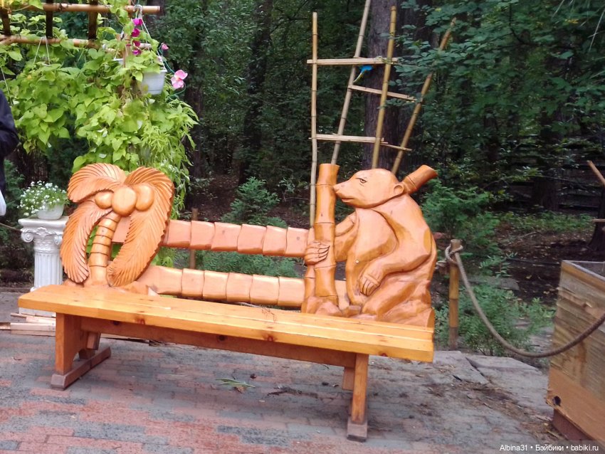 Зоопарк. Новосибирск. Сентябрь 2024 год (2)