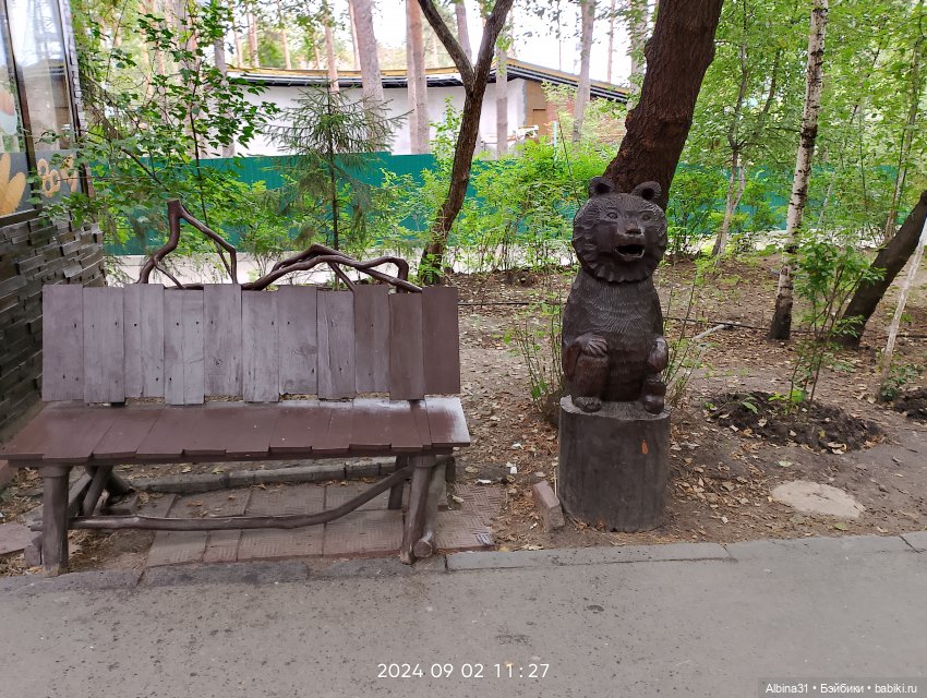 Зоопарк. Новосибирск. Сентябрь 2024 год (2)