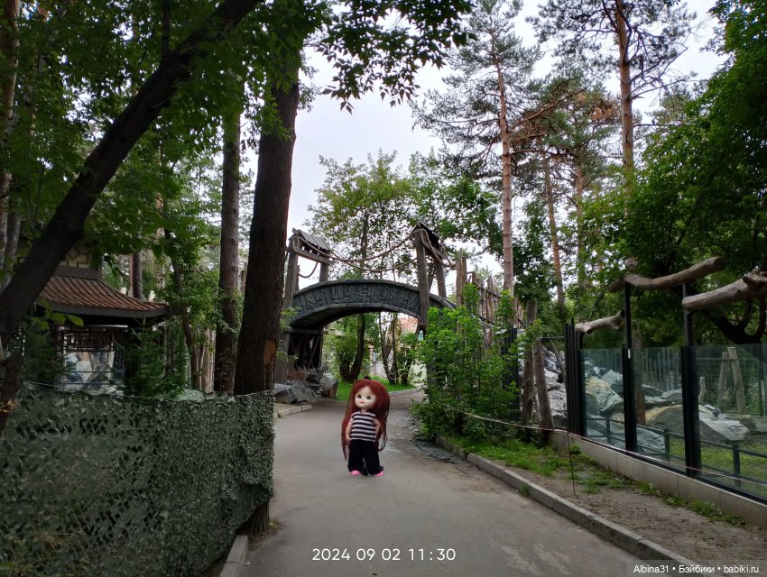 Зоопарк. Новосибирск. Сентябрь 2024 год (2)