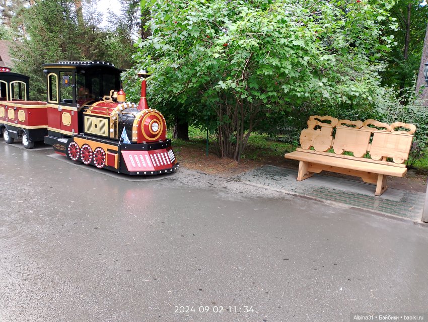 Зоопарк. Новосибирск. Сентябрь 2024 год (2)