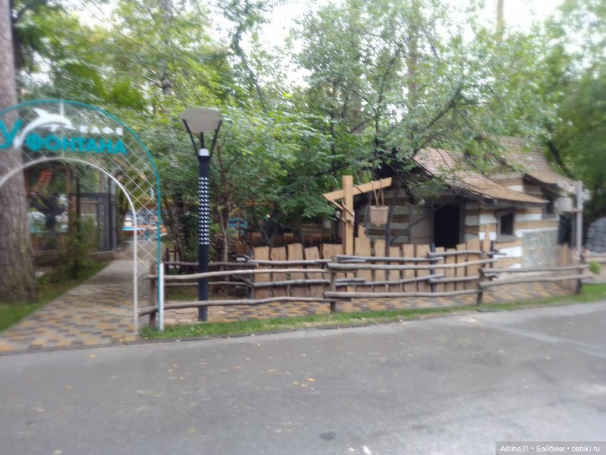 Зоопарк. Новосибирск. Сентябрь 2024 год (2)