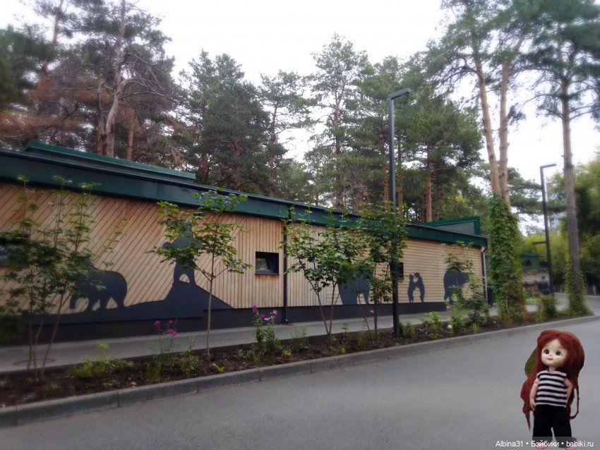 Зоопарк. Новосибирск. Сентябрь 2024 год (2)