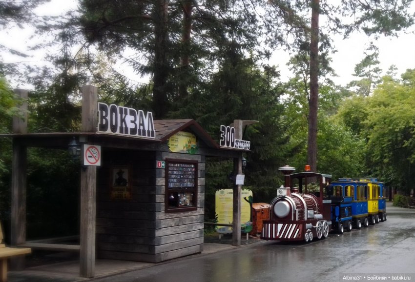 Зоопарк. Новосибирск. Сентябрь 2024 год (2)