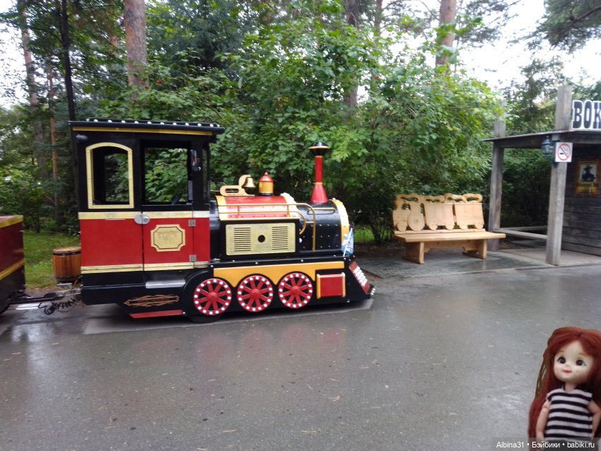 Зоопарк. Новосибирск. Сентябрь 2024 год (2)