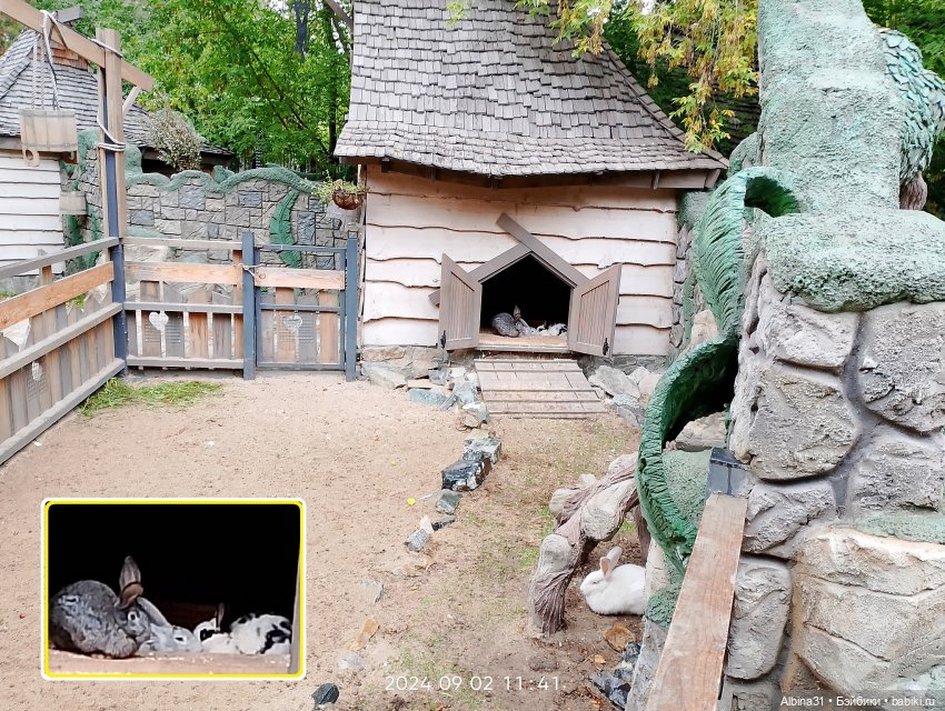 Зоопарк. Новосибирск. Сентябрь 2024 год (2)