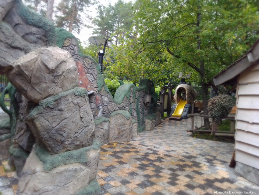 Новосибирский зоопарк. Сентябрь 2024 год (фото 9)