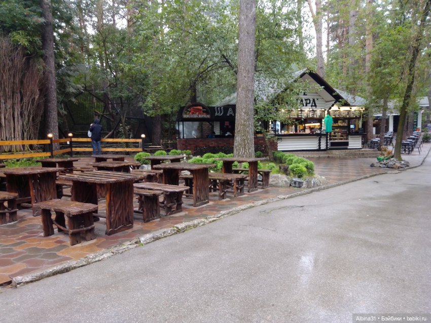 Новосибирский зоопарк. Сентябрь 2024 год