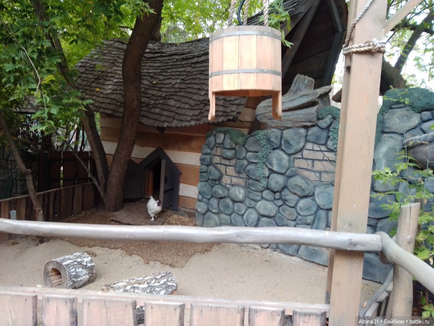 Новосибирский зоопарк. Сентябрь 2024 год (фото 6)