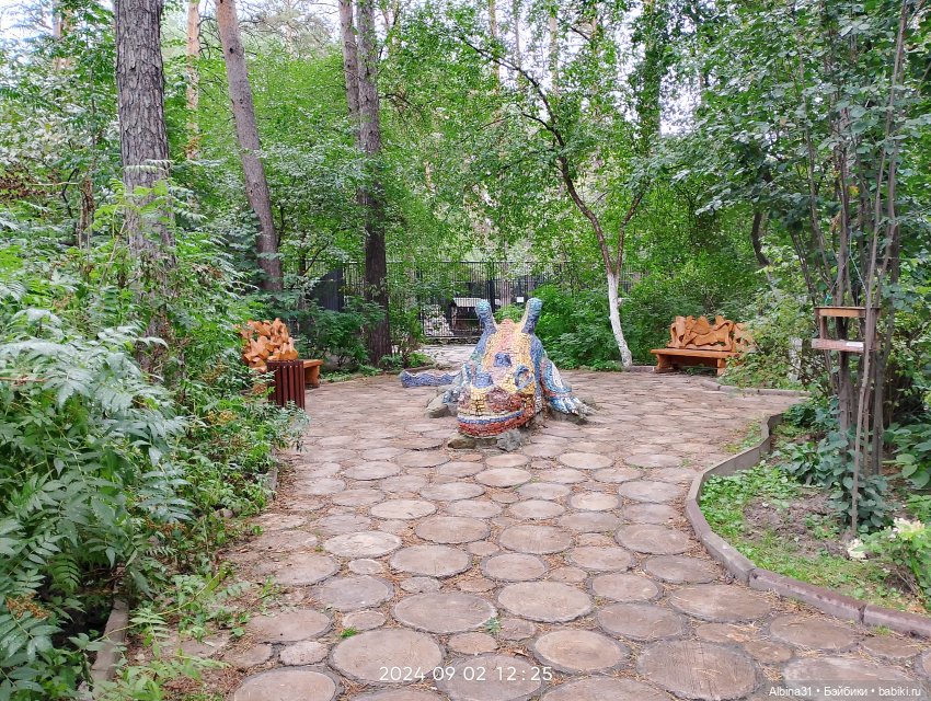 Новосибирский зоопарк. Сентябрь 2024 год