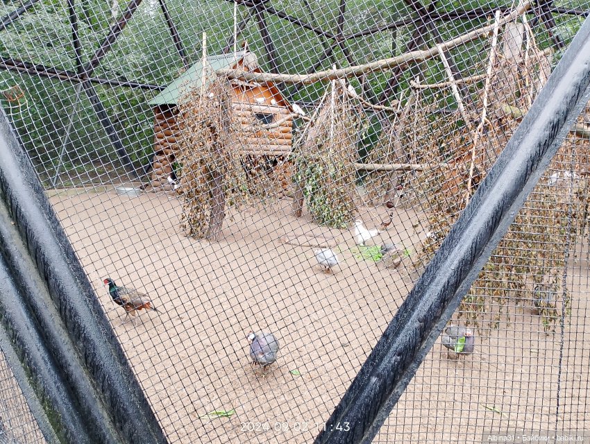 Новосибирский зоопарк. Сентябрь 2024 год (фото 2)