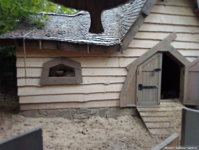 Новосибирский зоопарк. Сентябрь 2024 год (фото 3)