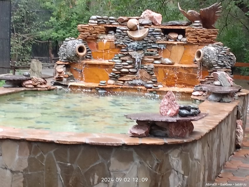 Новосибирский зоопарк. Сентябрь 2024 год