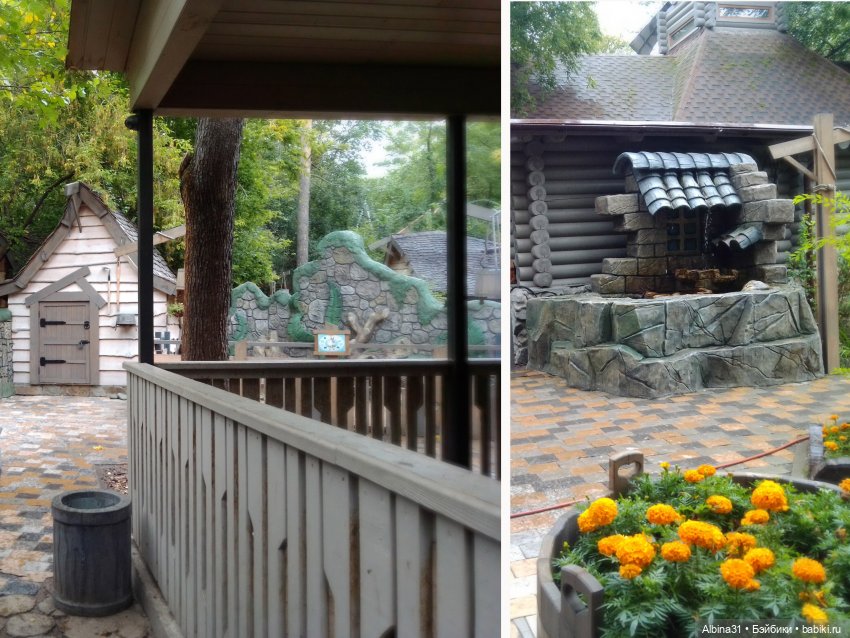 Новосибирский зоопарк. Сентябрь 2024 год (фото 7)