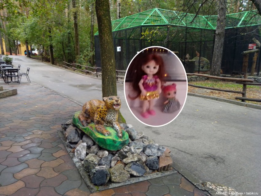 Новосибирский зоопарк. Сентябрь 2024 год