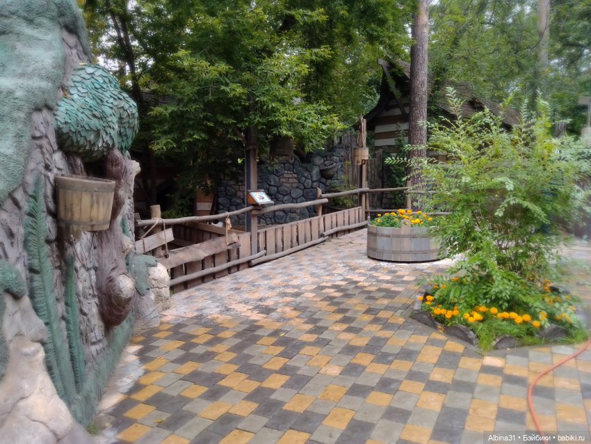 Новосибирский зоопарк. Сентябрь 2024 год (фото 5)