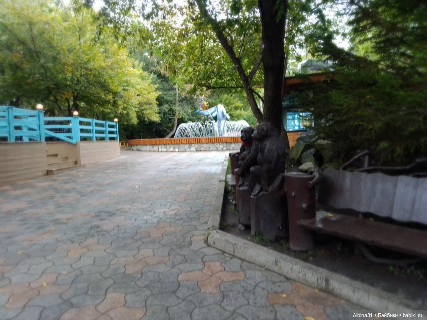 Новосибирский зоопарк. Сентябрь 2024 год