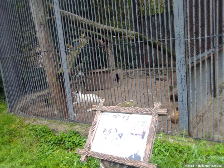 Новосибирский зоопарк. Сентябрь 2024 год