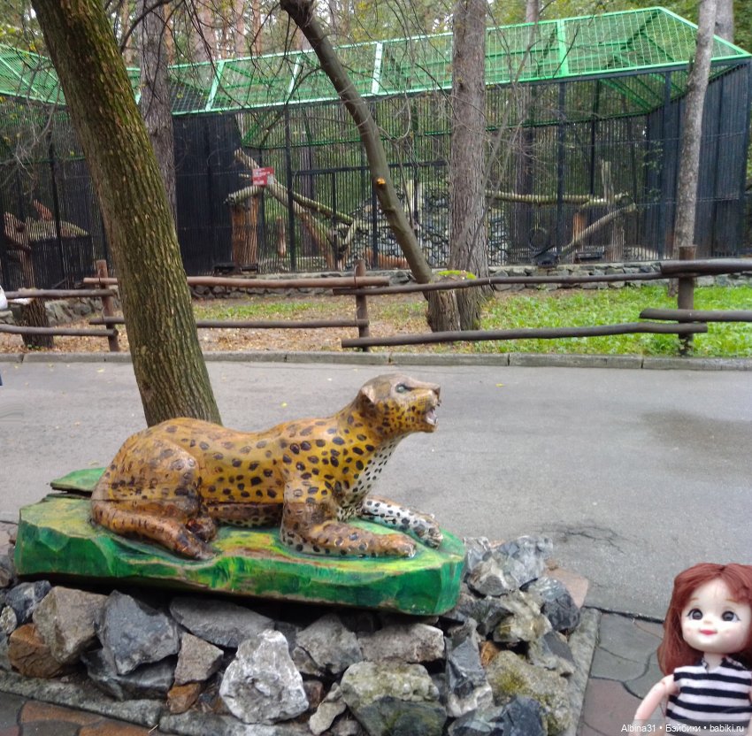 Новосибирский зоопарк. Сентябрь 2024 год