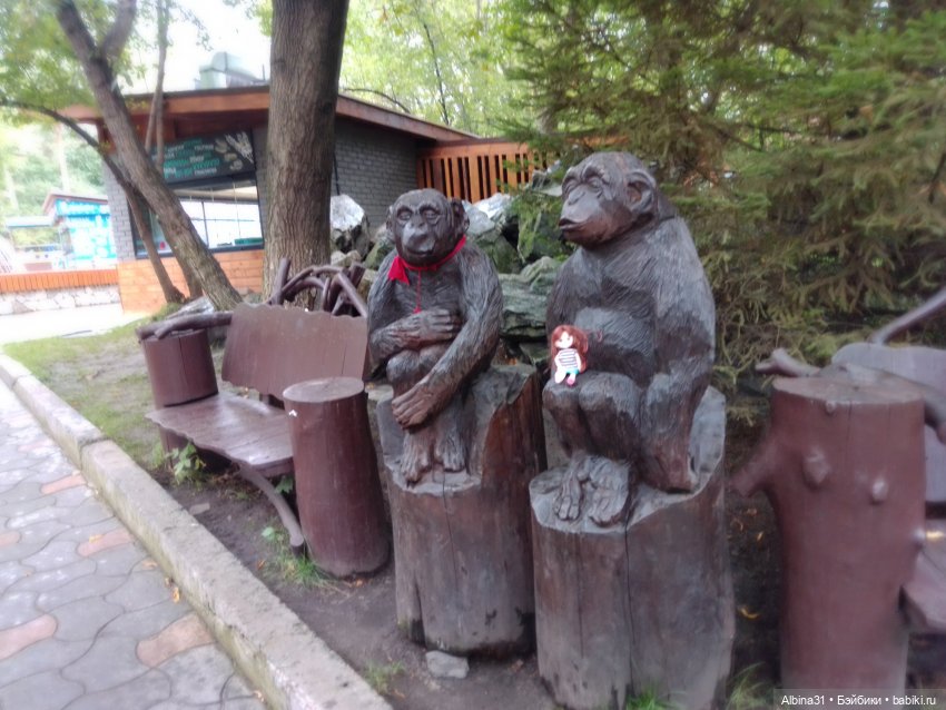 Новосибирский зоопарк. Сентябрь 2024 год