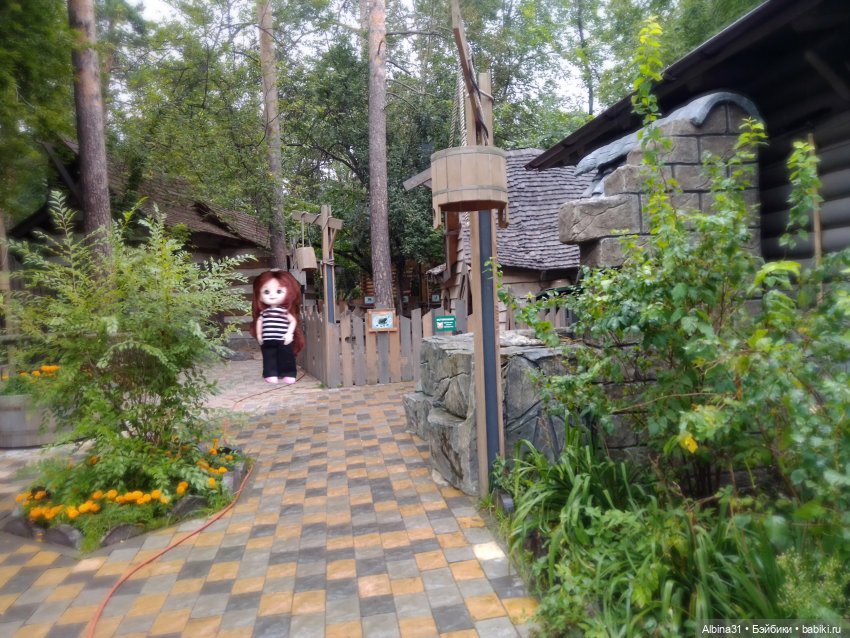 Новосибирский зоопарк. Сентябрь 2024 год (фото 8)